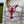 STRIPE & LOBSTER KNIT SWEATER