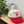CUMULUS LOBSTER HAT PEI
